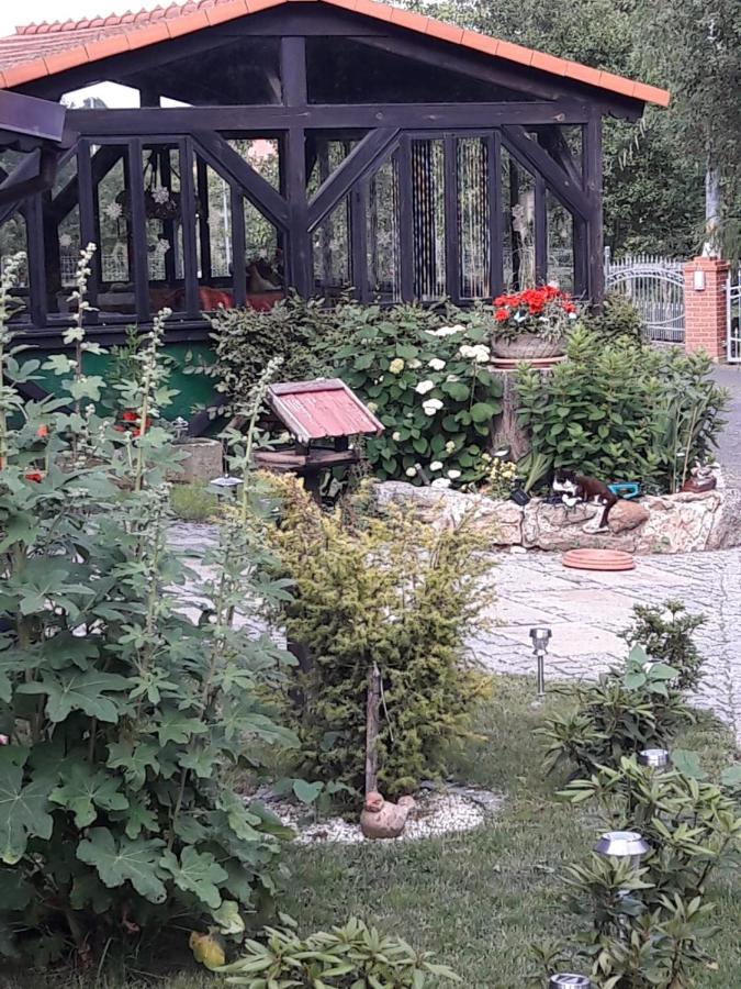 Apartment Im Dreiländereck - Dom Przy Trzech Granicach Löschney