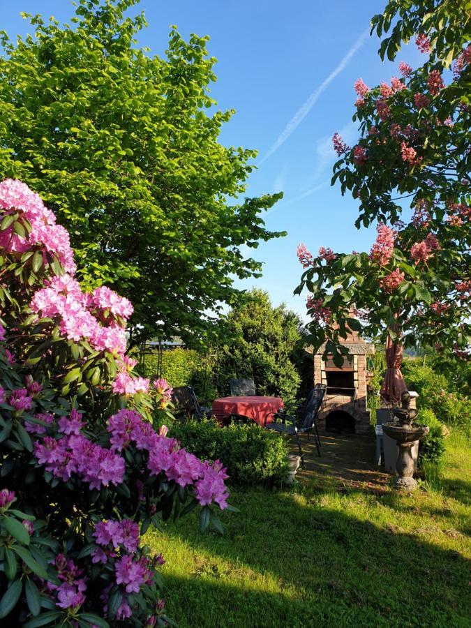 Im Dreiländereck - Dom Przy Trzech Granicach Apartment Löschney
